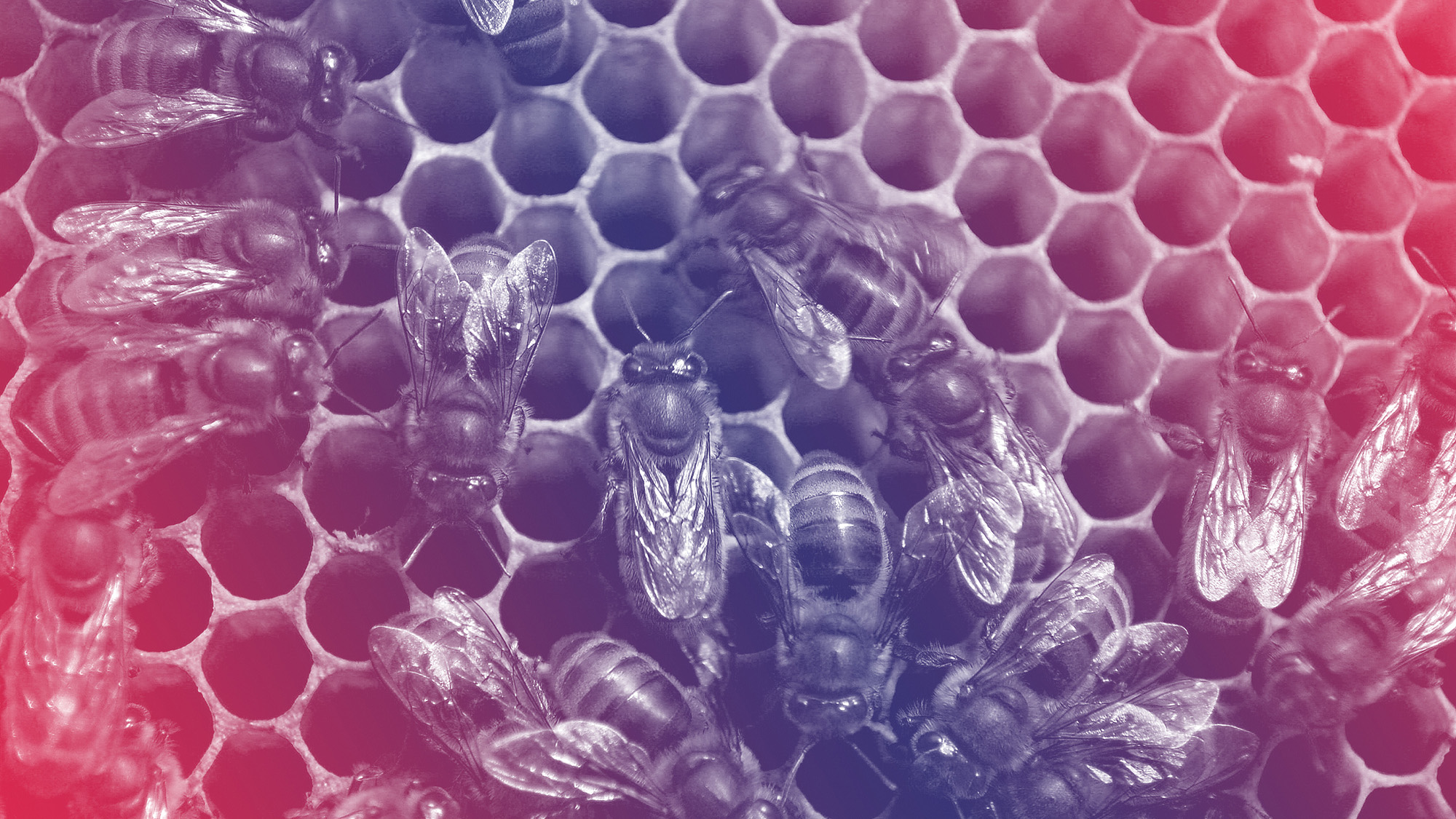 Was Sie als Arbeitgeber*in über Minusstunden wissen müssen